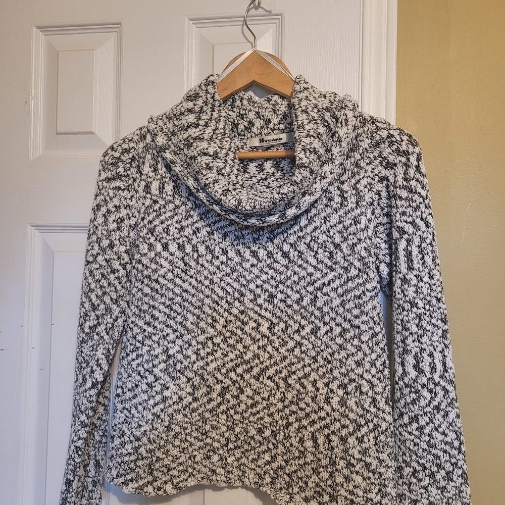 Express Monochrome Cowl Neck Sweater